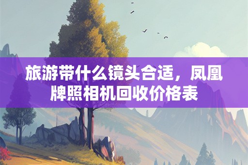旅游带什么镜头合适，凤凰牌照相机回收价格表