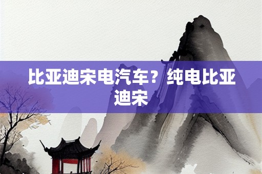 比亚迪宋电汽车？纯电比亚迪宋