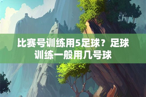 比赛号训练用5足球？足球训练一般用几号球