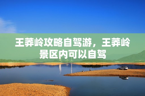 王莽岭攻略自驾游，王莽岭景区内可以自驾