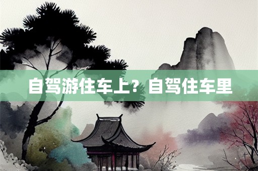 自驾游住车上？自驾住车里