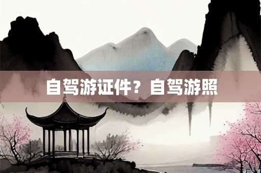 自驾游证件？自驾游照
