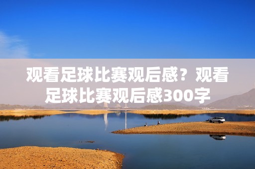 观看足球比赛观后感？观看足球比赛观后感300字