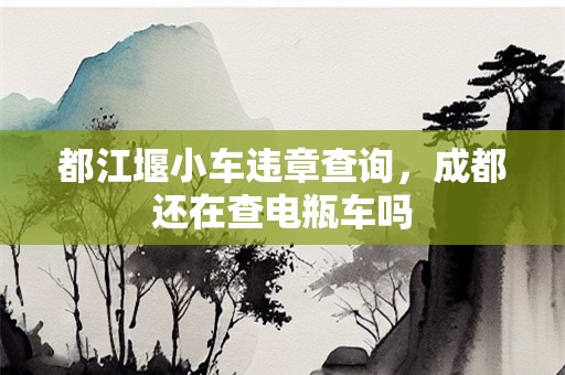 都江堰小车违章查询，成都还在查电瓶车吗
