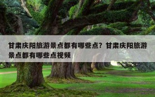 甘肃庆阳旅游景点都有哪些点？甘肃庆阳旅游景点都有哪些点视频