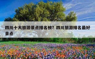 四川十大旅游景点排名榜？四川旅游排名最好景点