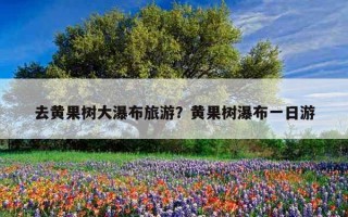 去黄果树大瀑布旅游？黄果树瀑布一日游