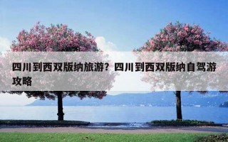 四川到西双版纳旅游？四川到西双版纳自驾游攻略