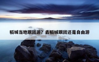 稻城当地跟团游？去稻城跟团还是自由游