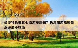 长沙特色美食七街游览路线？长沙旅游攻略景点必去小吃街