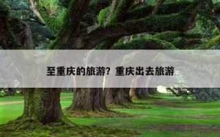 至重庆的旅游？重庆出去旅游