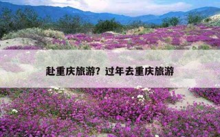 赴重庆旅游?过年去重庆旅游 赴重庆旅游?过年去重庆旅游