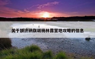 关于额济纳旗胡杨林露营地攻略的信息