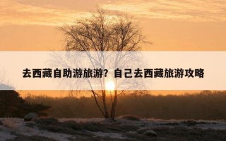 去西藏自助游旅游？自己去西藏旅游攻略