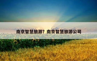 南京智慧旅游？南京智慧旅游公司
