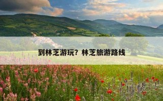 到林芝游玩?林芝旅游路线 到林芝游玩?林芝旅游路线