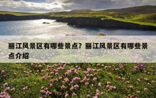 丽江风景区有哪些景点？丽江风景区有哪些景点介绍