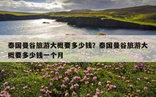 泰国曼谷旅游大概要多少钱？泰国曼谷旅游大概要多少钱一个月