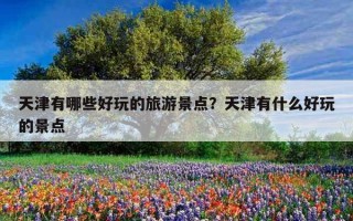 天津有哪些好玩的旅游景点？天津有什么好玩的景点