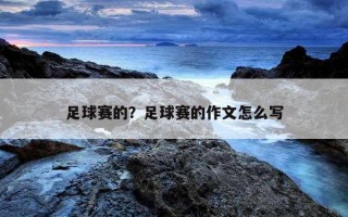 足球赛的？足球赛的作文怎么写