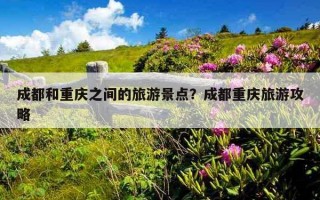 成都和重庆之间的旅游景点？成都重庆旅游攻略