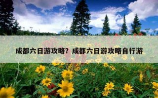 成都六日游攻略？成都六日游攻略自行游