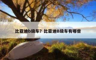 比亚迪b级车？比亚迪b级车有哪些