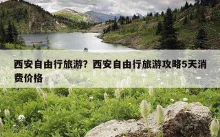 西安自由行旅游？西安自由行旅游攻略5天消费价格