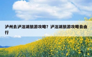 泸州去泸沽湖旅游攻略？泸沽湖旅游攻略自由行