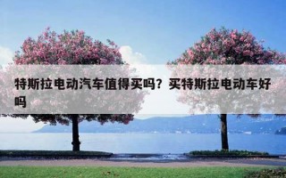 特斯拉电动汽车值得买吗？买特斯拉电动车好吗