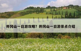 井冈山一日游攻略？井冈山一日游景点介绍