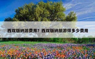 西双版纳游费用？西双版纳旅游得多少费用