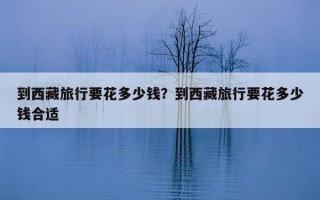 到西藏旅行要花多少钱？到西藏旅行要花多少钱合适