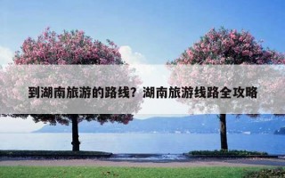 到湖南旅游的路线？湖南旅游线路全攻略