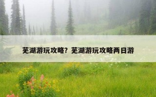 芜湖游玩攻略？芜湖游玩攻略两日游