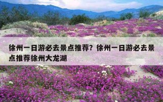 徐州一日游必去景点推荐？徐州一日游必去景点推荐徐州大龙湖