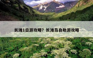长滩1日游攻略？长滩岛自助游攻略