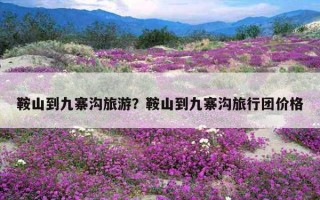 鞍山到九寨沟旅游？鞍山到九寨沟旅行团价格