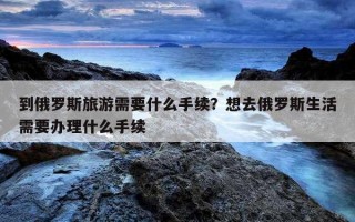 到俄罗斯旅游需要什么手续？想去俄罗斯生活需要办理什么手续