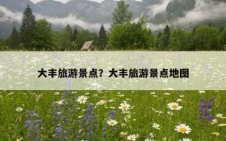 大丰旅游景点？大丰旅游景点地图