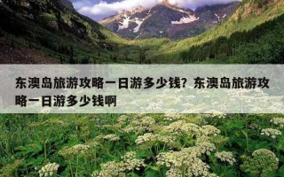 东澳岛旅游攻略一日游多少钱？东澳岛旅游攻略一日游多少钱啊