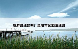 旅游路线昆明？昆明市区旅游线路