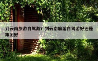 到云南旅游自驾游？到云南旅游自驾游好还是跟团好
