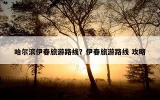 哈尔滨伊春旅游路线？伊春旅游路线 攻略