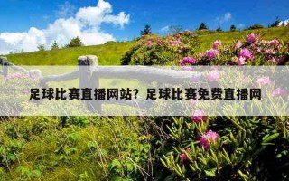 足球比赛直播网站？足球比赛免费直播网