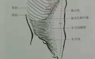 身份证怎么查老婆开宾馆记录（3种成功案例）