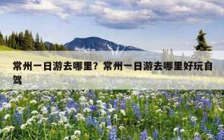 常州一日游去哪里？常州一日游去哪里好玩自驾