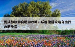 到成都旅游自助游攻略？成都旅游攻略自由行攻略免费