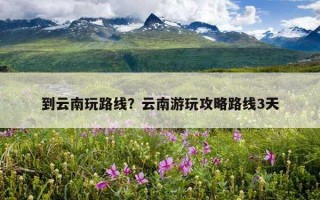 到云南玩路线？云南游玩攻略路线3天