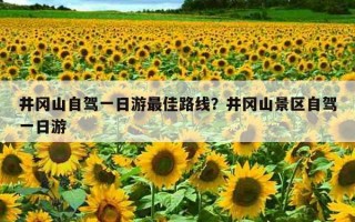 井冈山自驾一日游最佳路线？井冈山景区自驾一日游